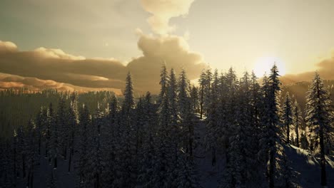 Fantastic-Evening-Winter-Landscape